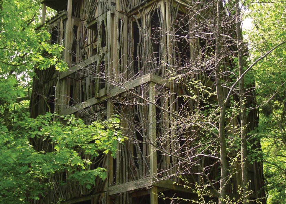 Six-story tree house