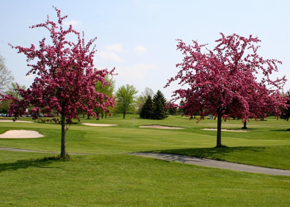 Trees along the course at CenterPointe Country Club