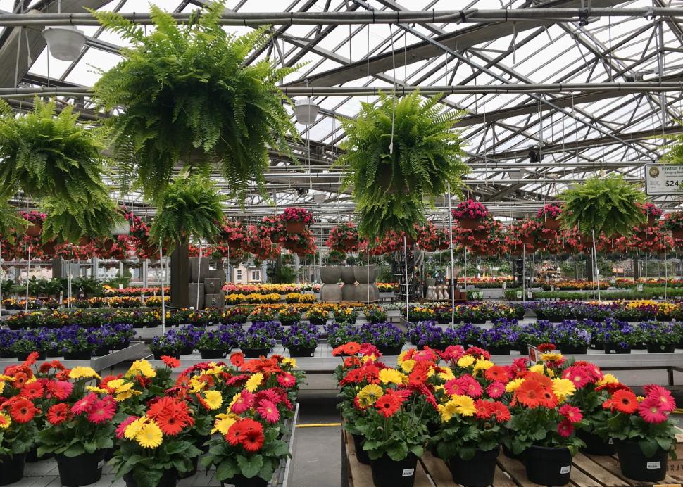 Chuck Hafner's Farmers Market and Garden Center