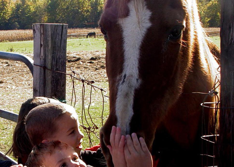CBP Kids and Horse