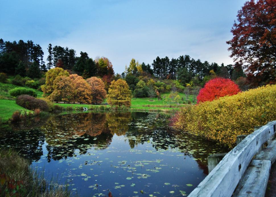 Cornell Plantations