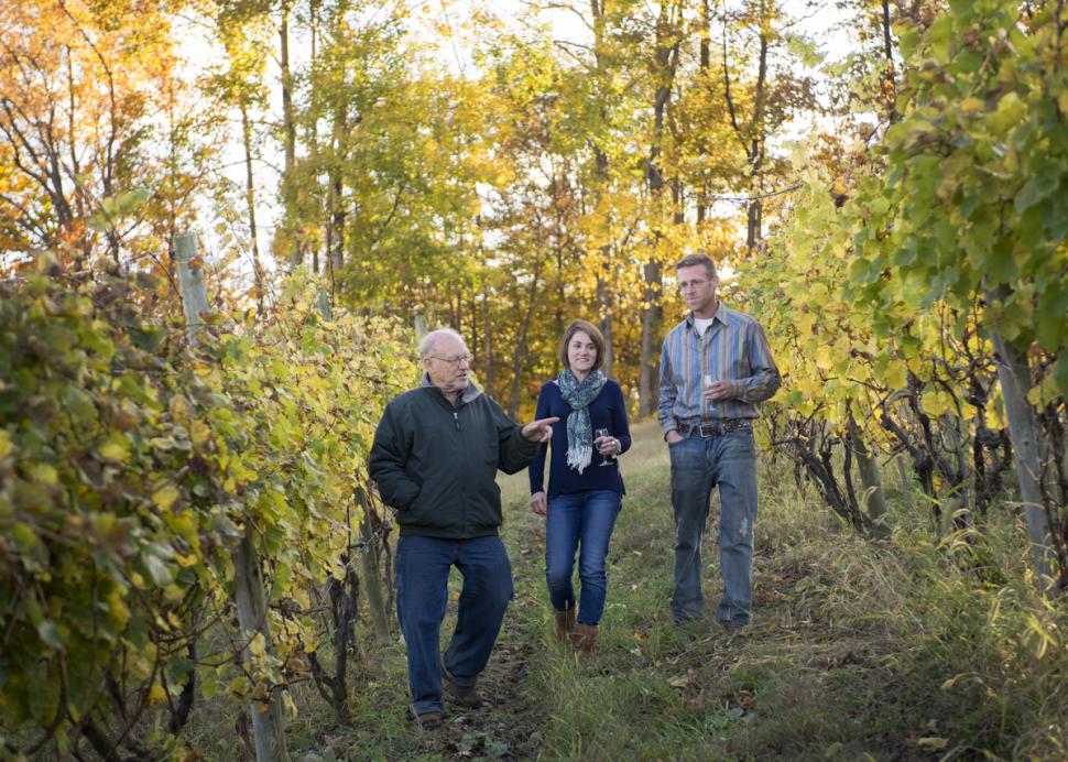 Keuka Lake Vineyards