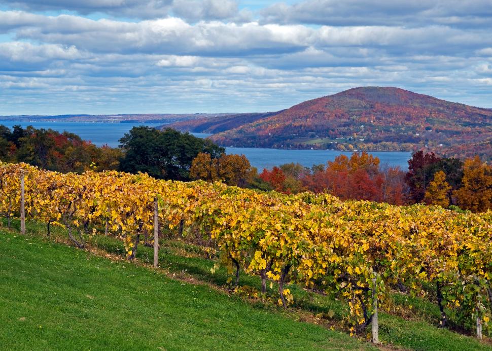 Canandaigua Lake Wine Trail in the fall foliage