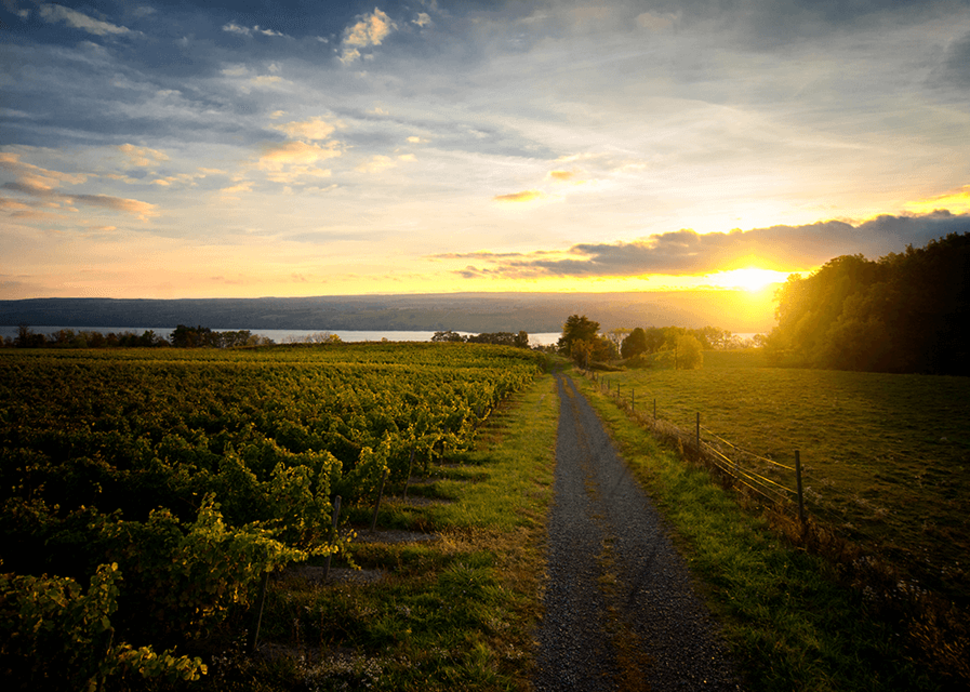 Fulkerson_Winery_Tasting_Room