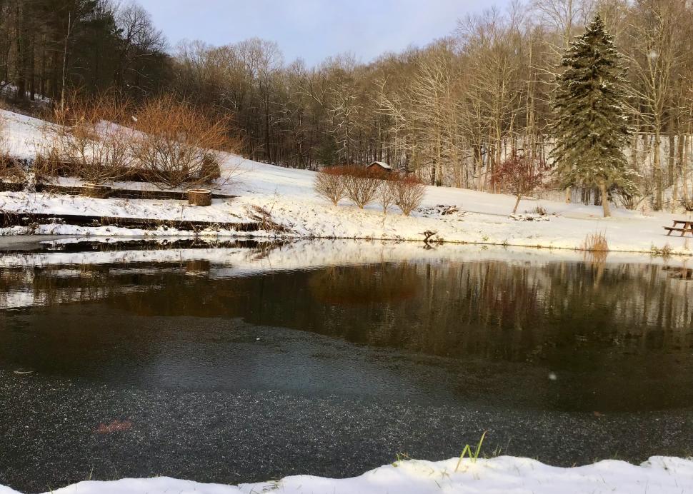 TFBB Pond in Winter