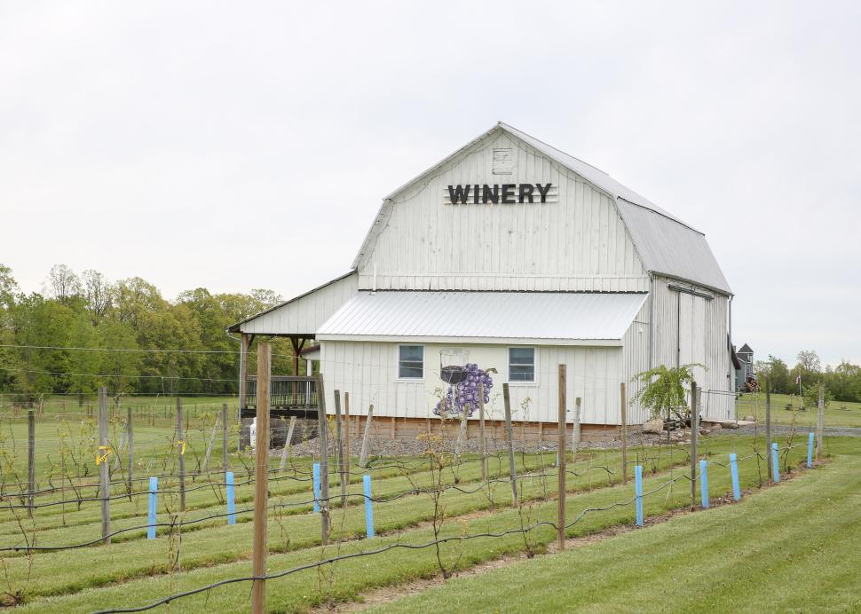 IZZO'S WHITE BARN WINERY