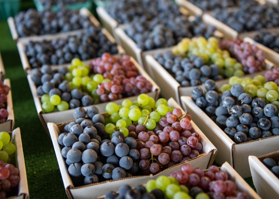 Freshly picked grapes in bins at Joseph's Wayside Market
