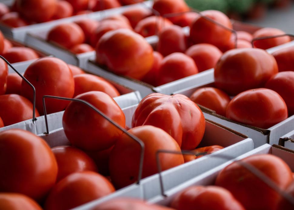 Fresh tomato's sitting in baskets at Joseph's Wayside Market