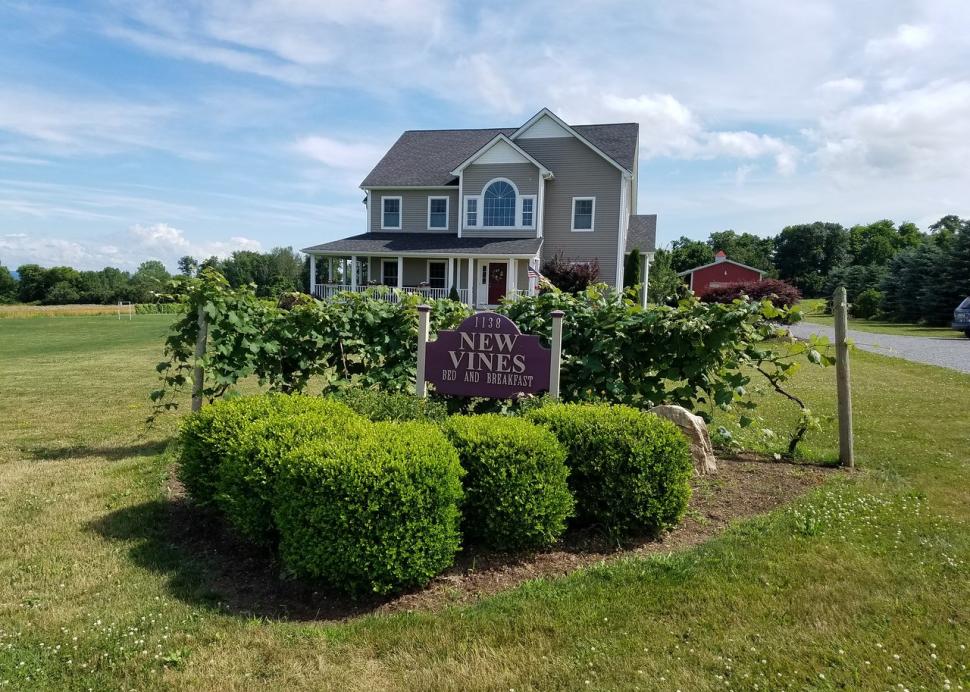 New Vines B&B
