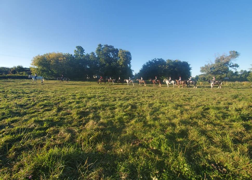 Quarry Ridge Stables & Cabins