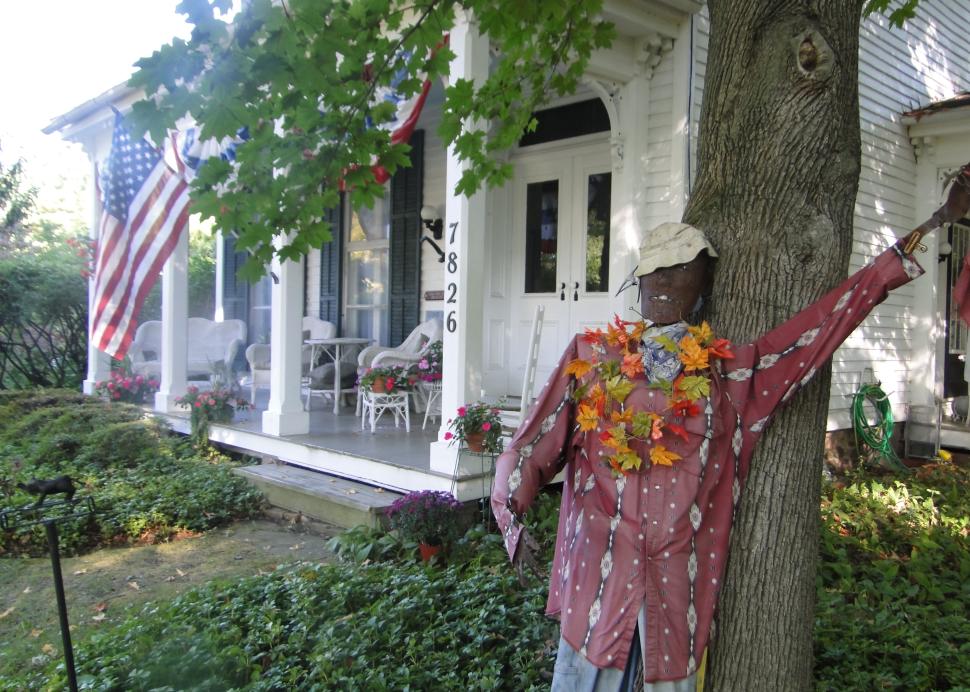 Raked South Garden B&B