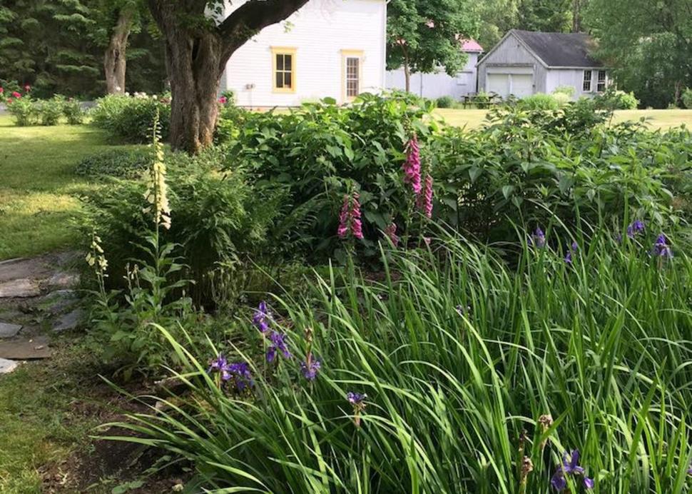 The Little House from Shade Garden