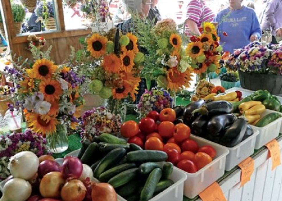 Windmill farm sale market