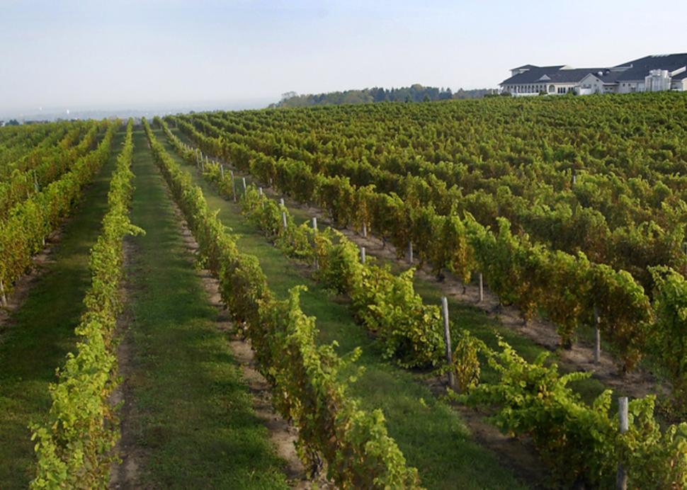 casa-larga-vineyards-and-winery-fairport-vineyards