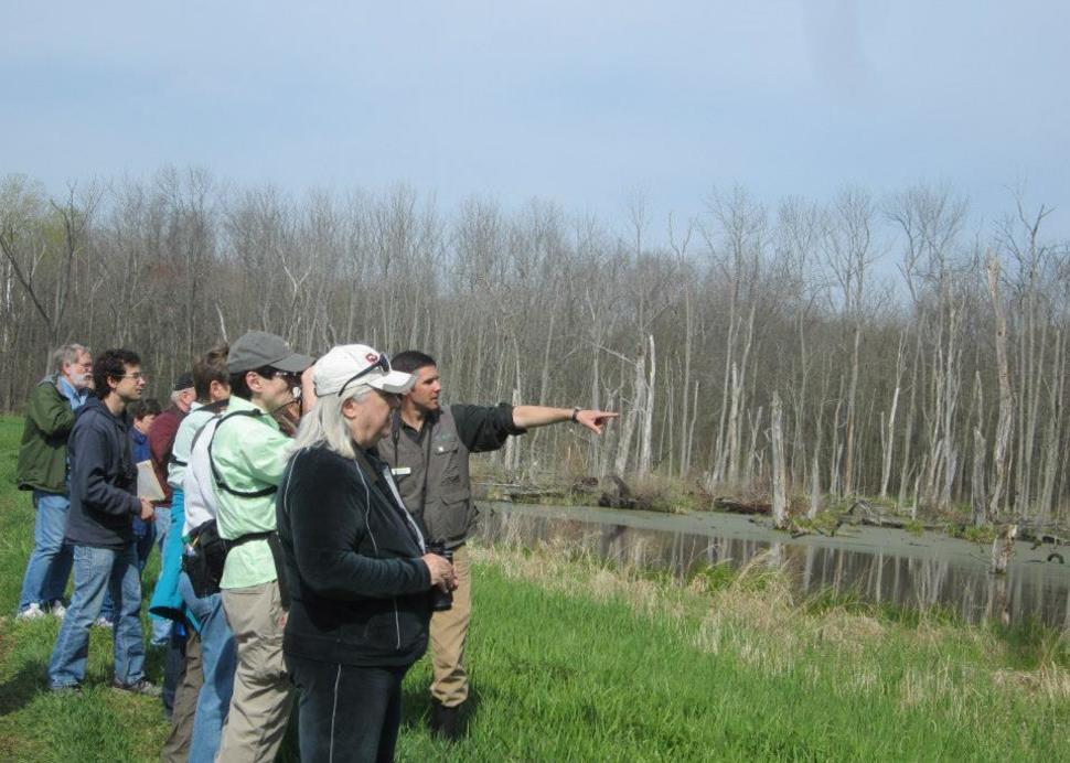 birding walk