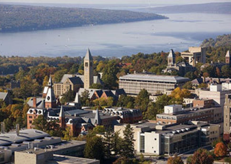 Cornell University