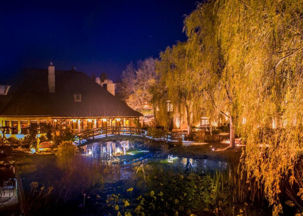 Monet Gardens at Night
