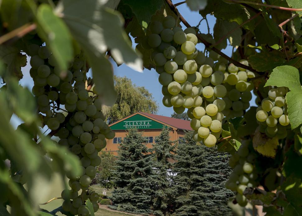 Glenora Wine Cellars