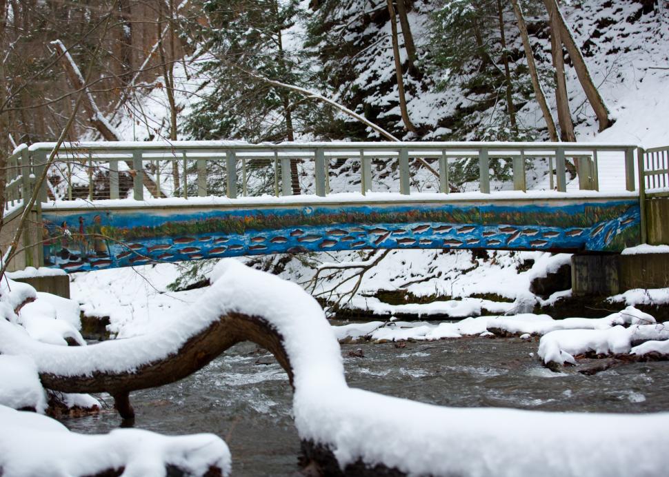 A bridge in the wintertime at Grimes Glen Park
