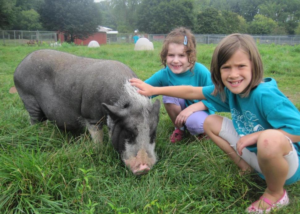 Kids with animals at Lollypop Farm