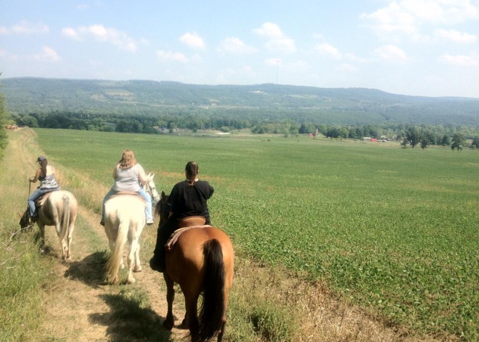 quarry ridge stables