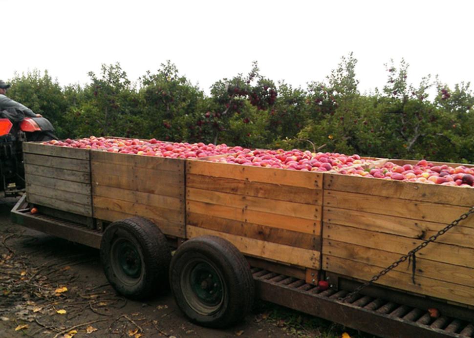 red-jacket-orchards-geneva-orchards