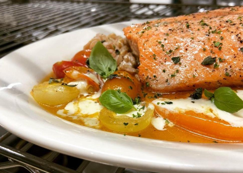 salmon
