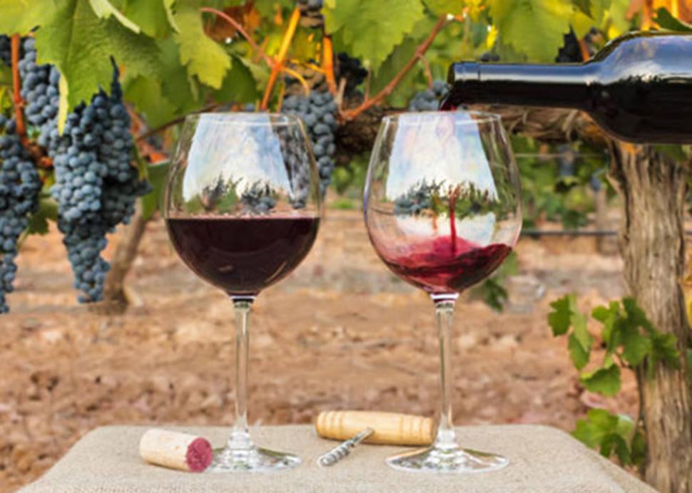 Wine Tasting