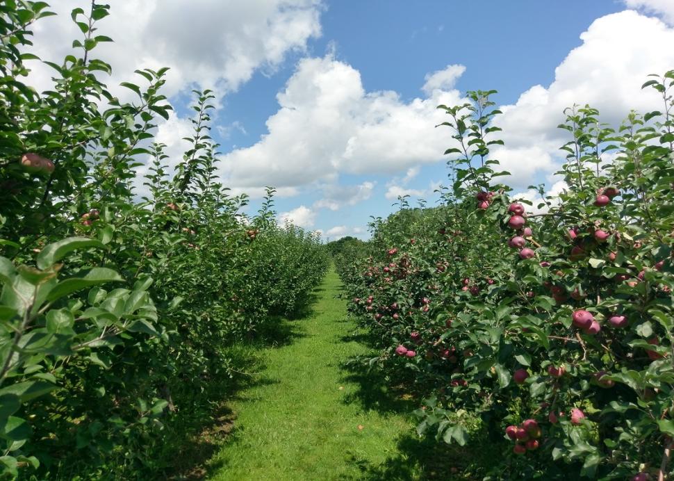 the-apple-farm-victor-exterior-updated-50