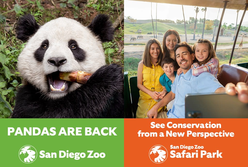 SD Zoo
