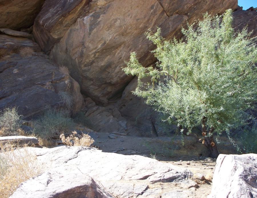 Coc_wo_wit_Tahquitz_Canyon