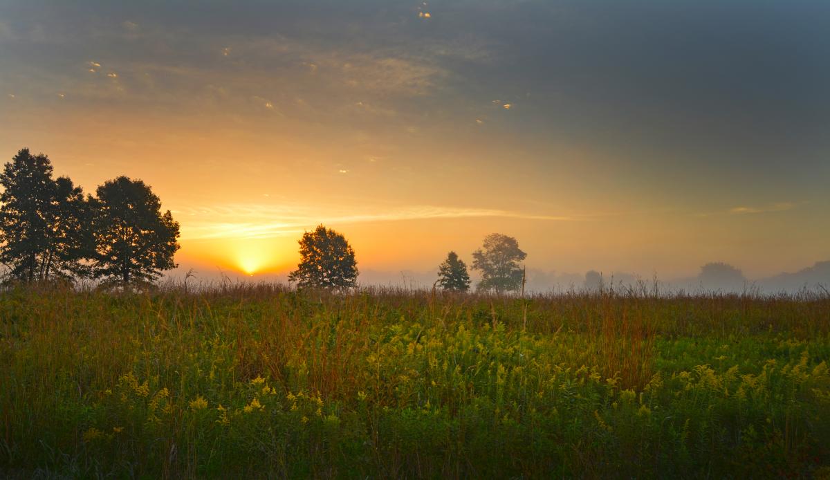 Prophetstown State Park
