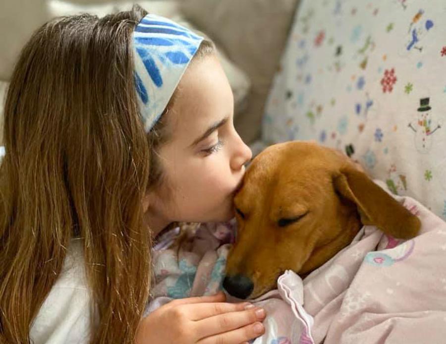Lost Dog Donation Image