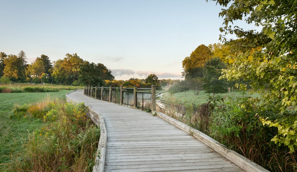 Mill Creek Park boardwalk in dexter
