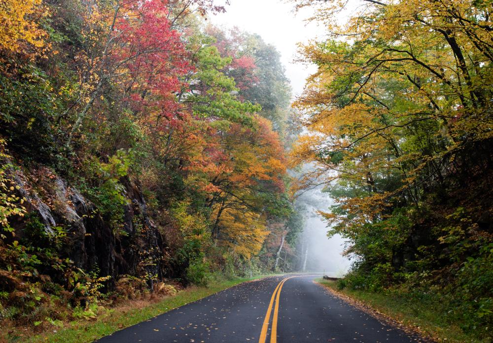 Asheville 2020 Fall Color Report & Forecast Scenic Views Asheville