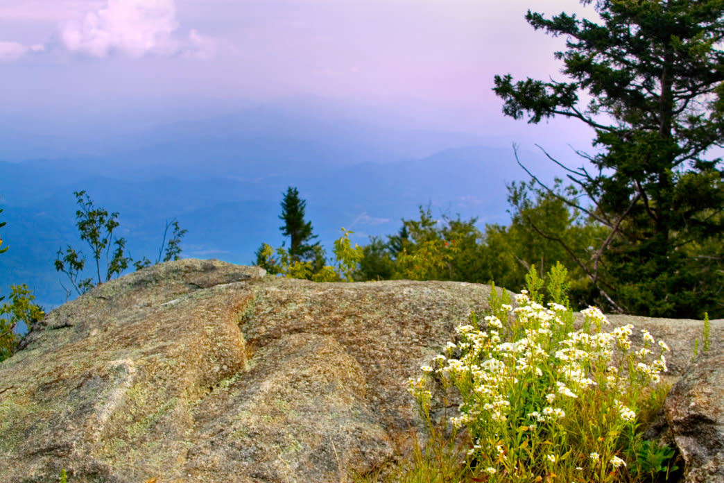 black_rock_trail_for_blog_3a19486b-4c63-490d-b0a2-462b68449004