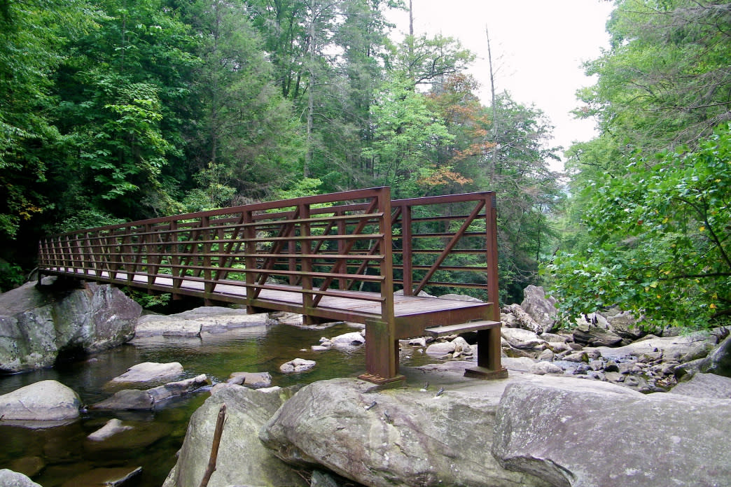 fly_fishing_blog_1_019cee9a-e06e-4b8c-bad0-dfefe2a2d3b1