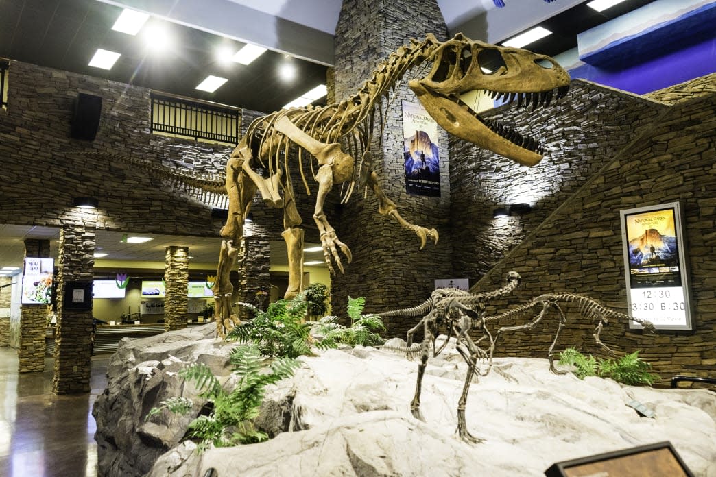 Dinosaur Museum - Utah Valley