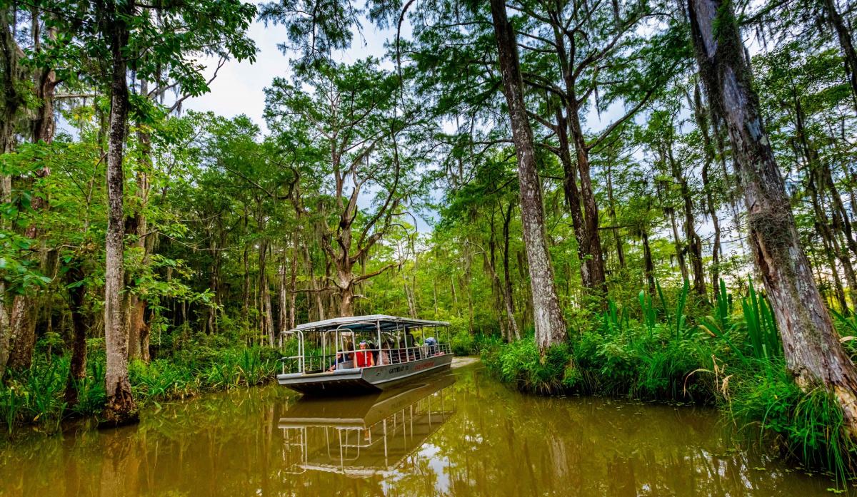 Honey Island Swamp Tour, Cajun Encounters