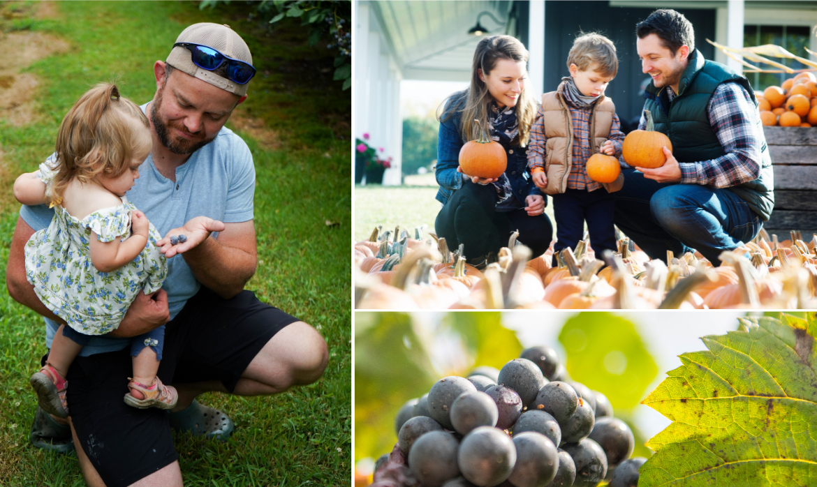 Photo collage of families picking blueberries and pumpkins at local farms