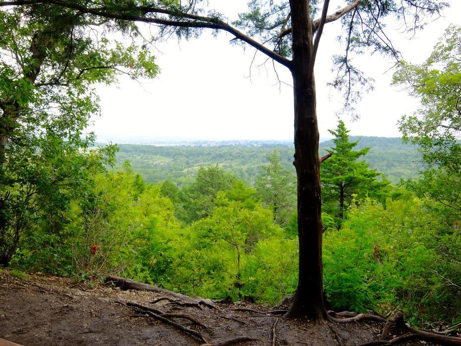 Cedar Ridge Nature Preserve