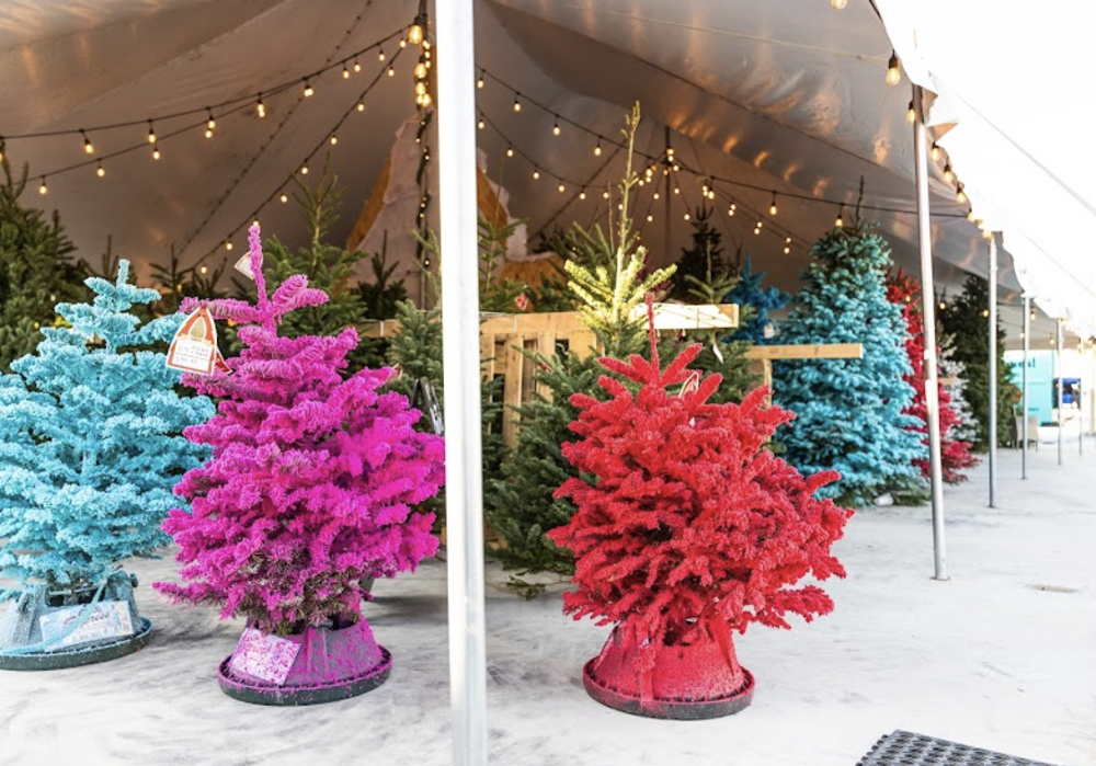 Colorful Christmas Trees