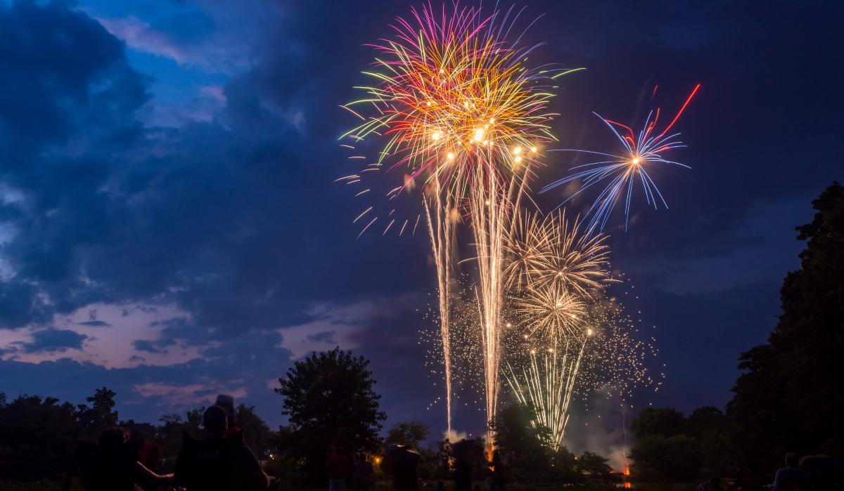 Image of Fireworks Above A Tree Line