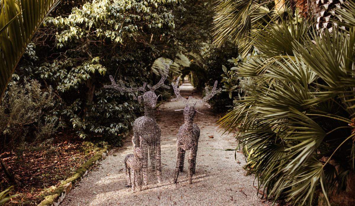 Tresco Abbey Garden Reindeer