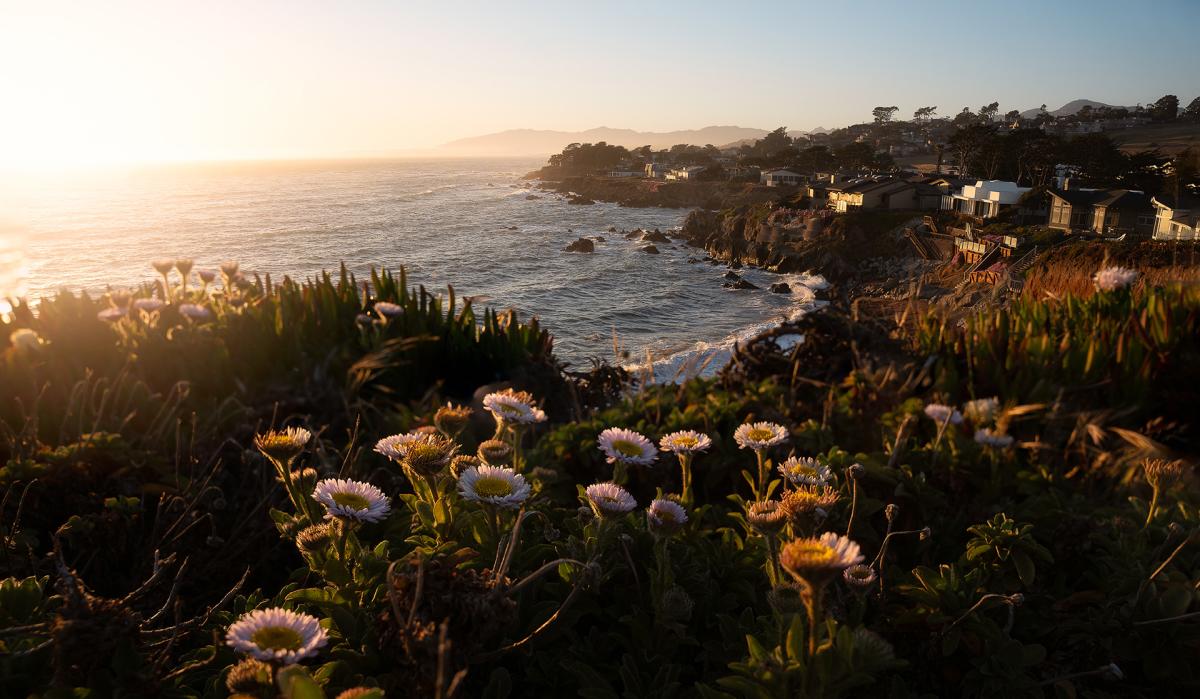 Cambria Shore Overlook