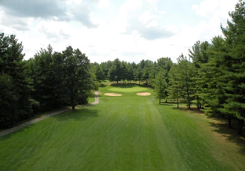 view of the pine view golf course greens
