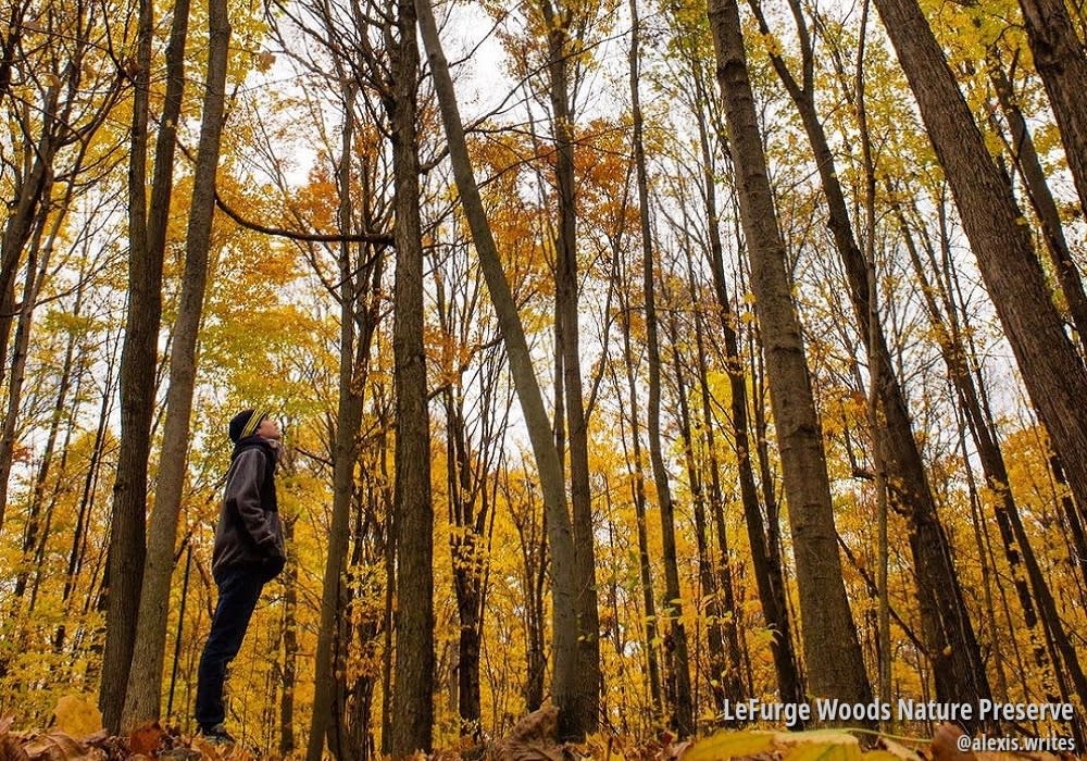 lefurge woods nature preserve