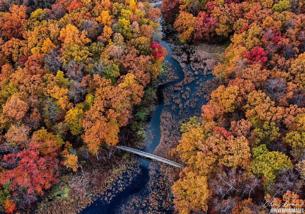 Fall Colors Abound in Tree Town