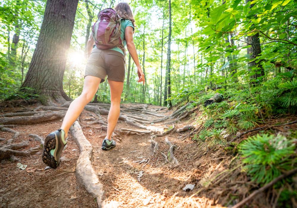 Hiking in Bent Creek Forest in Asheville, N.C.