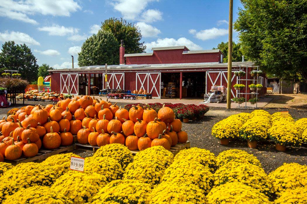 Reston Farm Fall Market